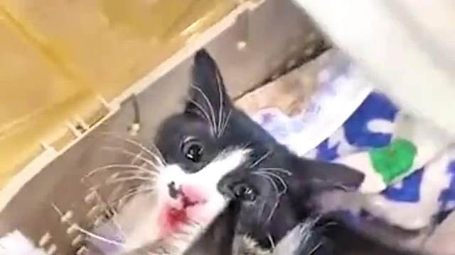 这地方再也不进来了