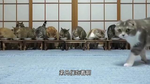 反射弧可绕地球三圈#搞笑配音#万万没想到