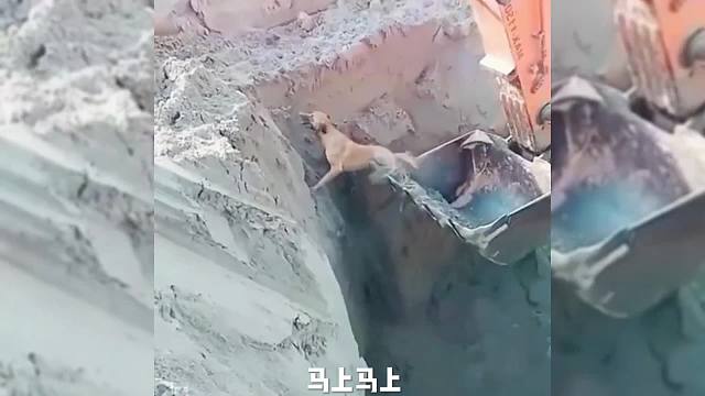狗子遇到好心人#一定要看到最后#搞笑配音