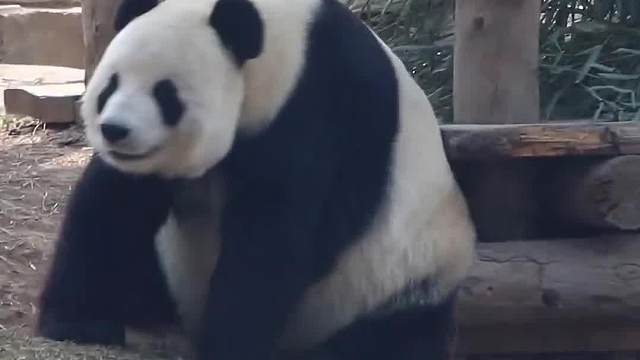 在东北就是得劲