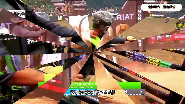 黑牛，奶牛挑战，你觉得它俩谁厉害危险运动，请勿模仿