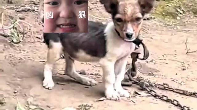 之前不是很嚣张吗