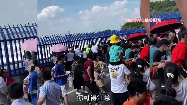 搞笑配音，跑得慢了容易变成落汤鸡