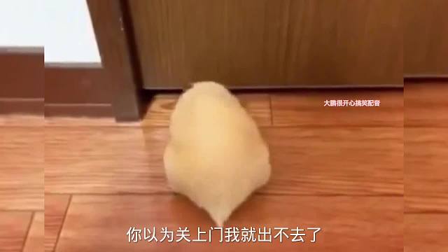 搞笑配音，这也能过去啊！