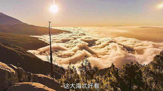 搞笑配音，这样的学校我也想去