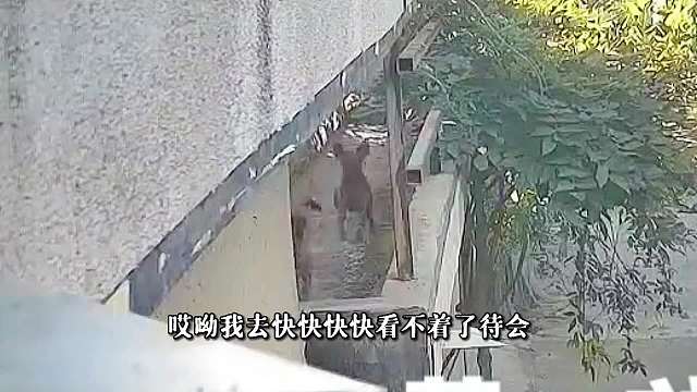 不看热闹，不传谣，不信谣！！切记切记……