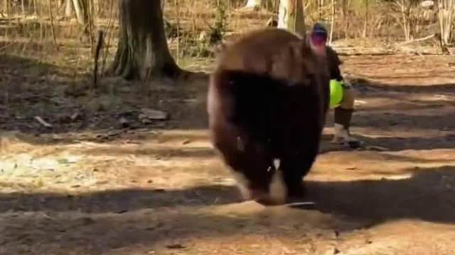 给你爸都吓变声儿了#搞笑配音#万万没想到