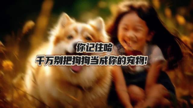 你以为在狗狗眼里你是主人吗？