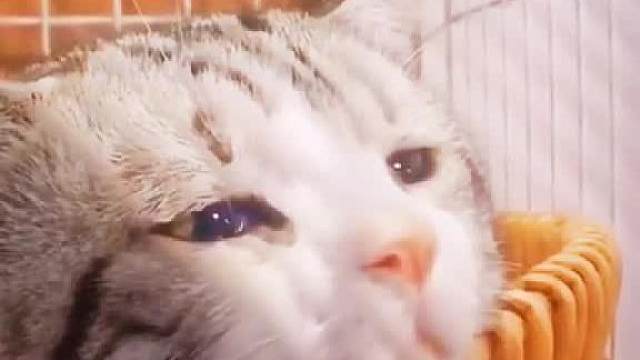 失去后，你还会相信爱情吗？｜曾经那些，你付出的真心值得吗？↖