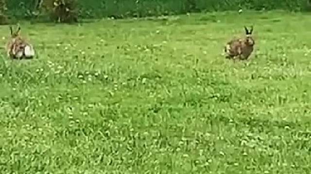 我觉得我可以看一整天