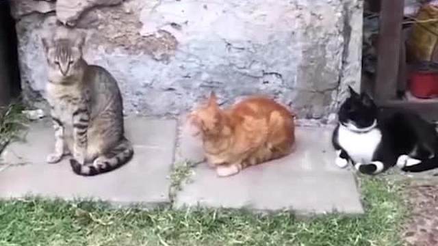 “相信我，水没有多深的，游泳就是这么容易！