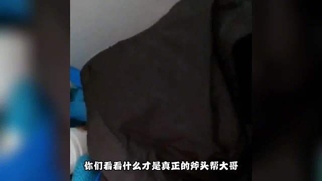 生活不易，猫咪被迫卖艺