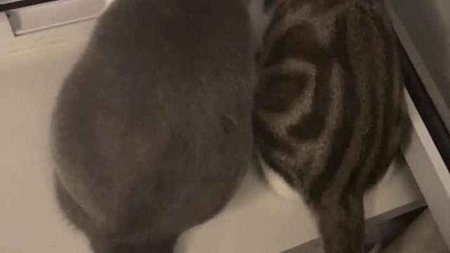 外面的世界很精彩有纱窗