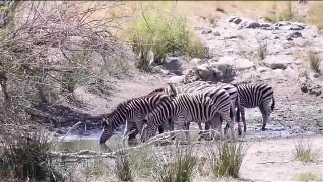 得回反应快！慢一点那就……