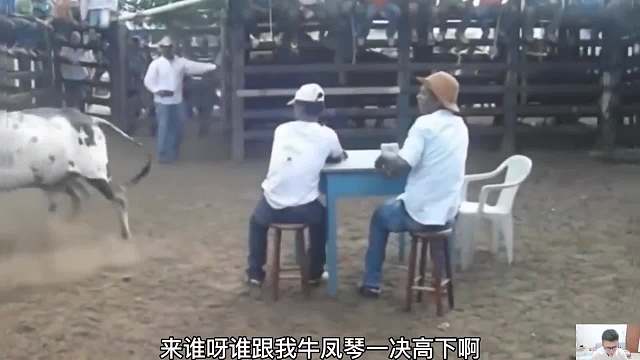 给牛整不会了，咋回事那！哪个环节出问题了！