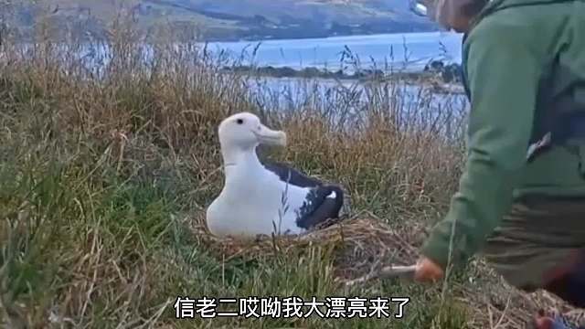 精打细算的信老二！