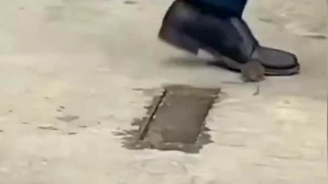 老鼠过街，实在没想到呀