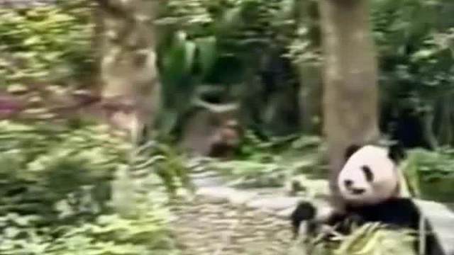 轻点嘛，你吓我一大跳