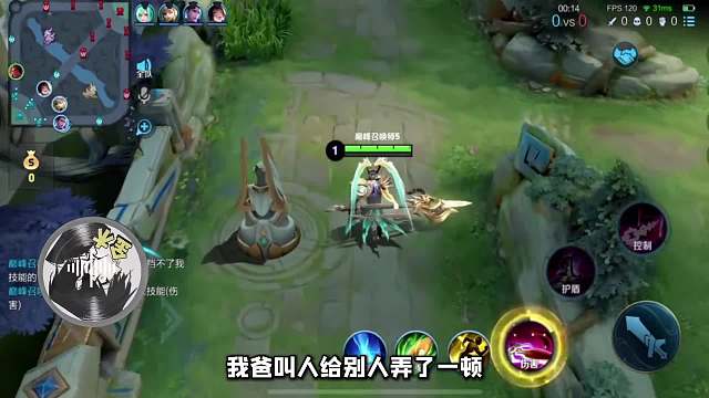 国一吕布金木从小被放养，如今父亲出事倾家荡产也要帮父亲一把