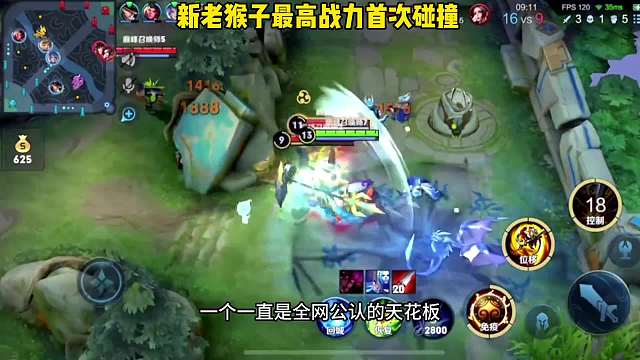 青帝猴四哥，老猴王与后起之秀首次碰面