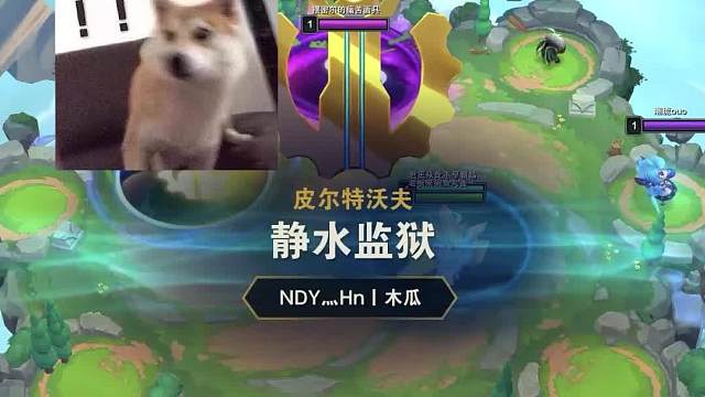 曾经的热门如今的冷门司令主宰尼菈，已经回调又可以玩了二