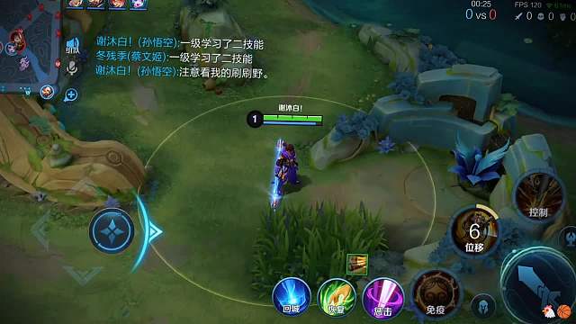 还说一起看雪呢 但好像已经来不及了#王者荣耀#热门游戏