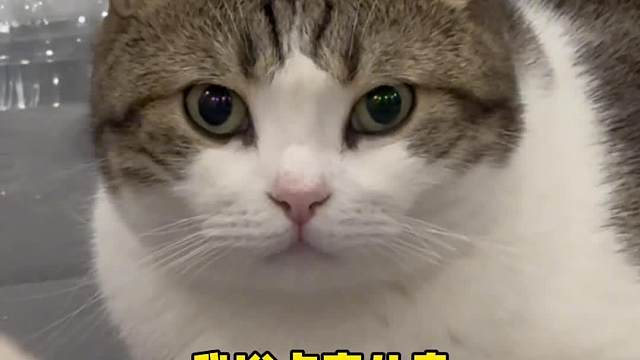 这问题是碳基生物能问出来的吗？