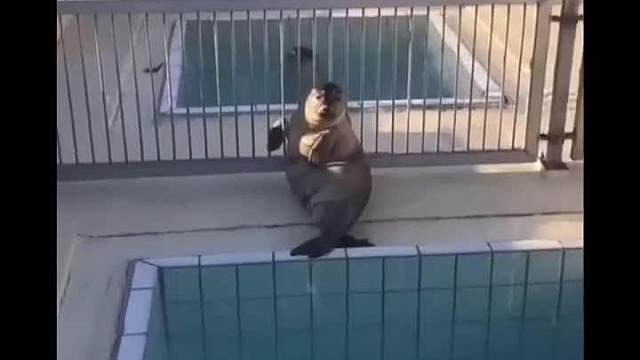 保安记录各位尊贵的公主殿下！晚安！