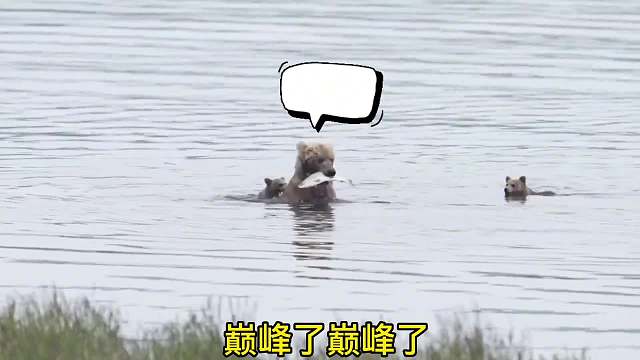 小熊哥哥难道我不是亲生的？