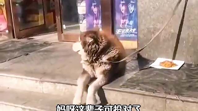 活的就是通透，爱谁谁