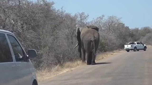 还有个地方就行！是想把师傅送走吗！