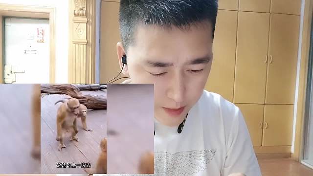 看看我跟猴子谁说的快！