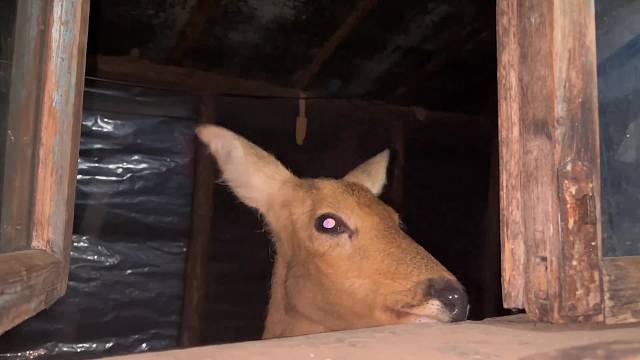 大晚上怪吓人的