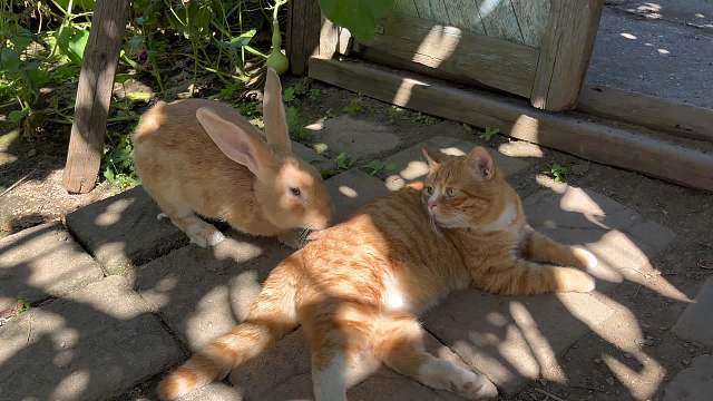 有些过于热闹了