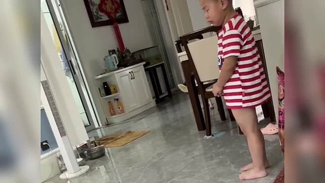 今天的萌宠热梗