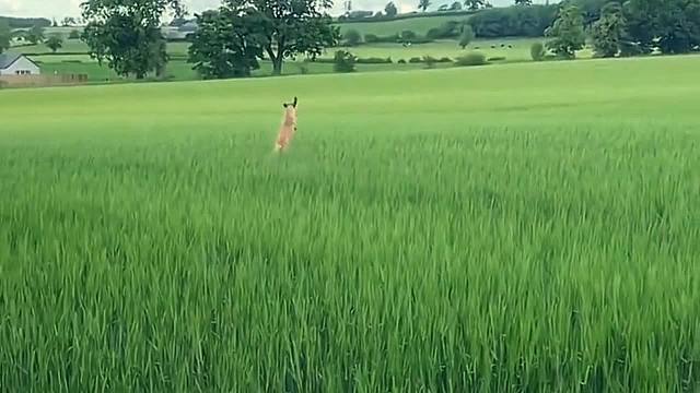 因为爱，才可爱。若不爱，勿伤害。