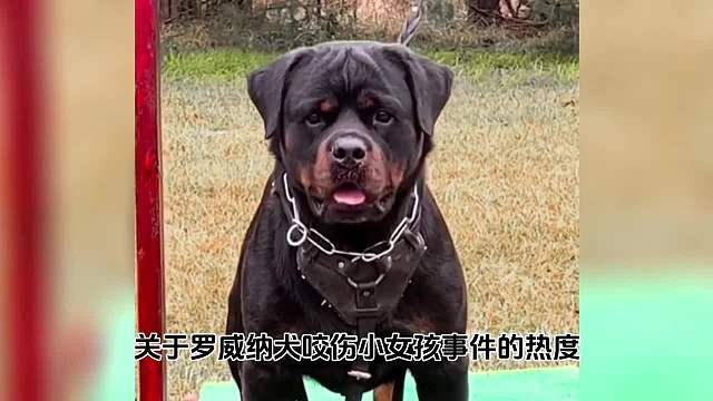请立即停止捕杀流浪猫狗！
