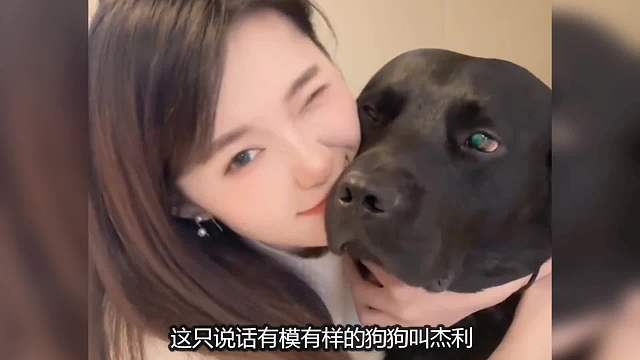 盘点成了精的狗子：不仅能听懂人话，还能和主人无障碍交流