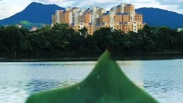 一叶一江一山一屋一世界