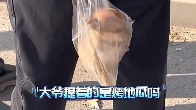 宝宝们真的好乖啊