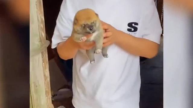 一看看一宿#一定要看到最后