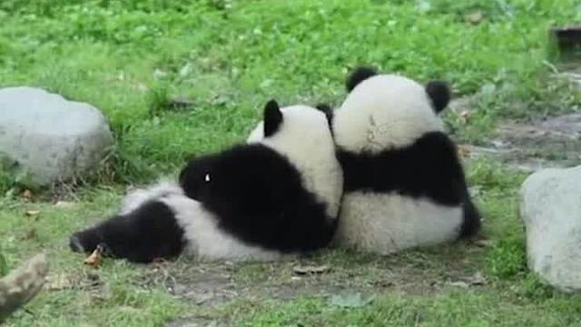 终究是错付了！