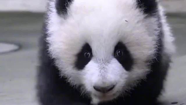 知道了吗？不点赞的下场是什么！