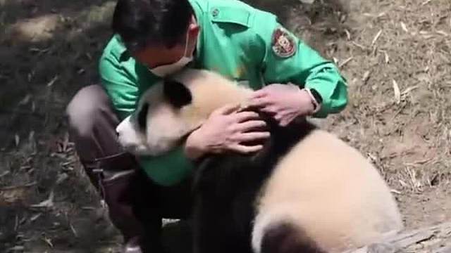 生气了，需要大家安慰我，可以吗？