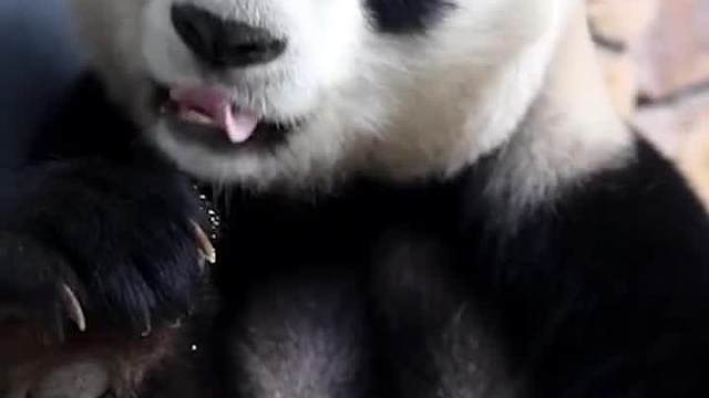 喔嚯儿，我没带钱，只能你请客了～