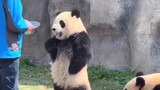 一切身份和地位，在美食面前都是浮云__～