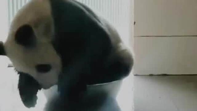 一定要看到最后～