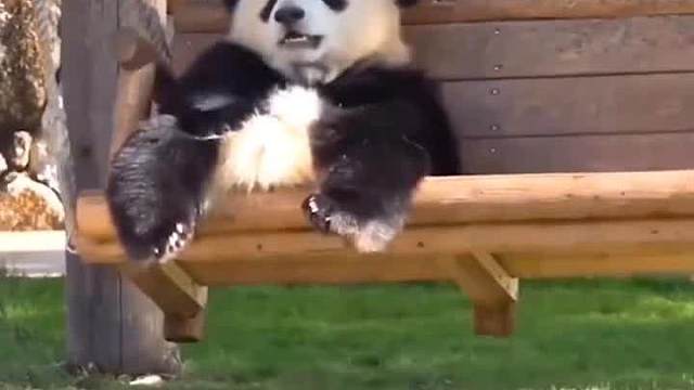 下午荡秋千的时候，领悟到了人生滴真谛，你们觉得我说的对吗？____________