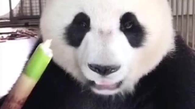 中国最地道的嘎嘣脆～