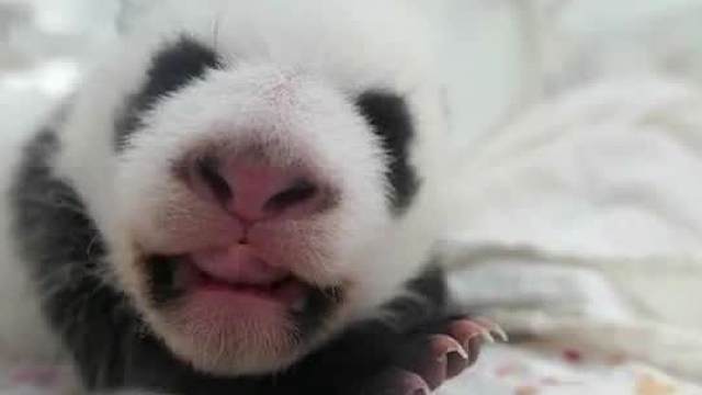 主动才会有故事～